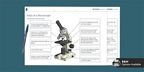 Parts Of A Microscope Labelling Worksheet Science Beyond