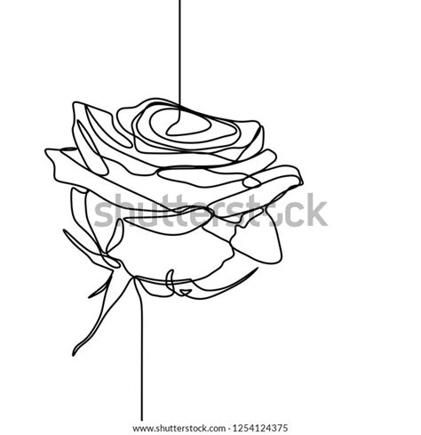 One Line Drawing Rose Flower Minimalist Stock Vector Royalty Free