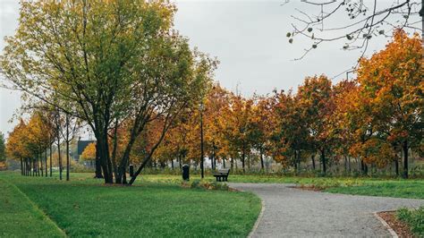 Nowe oblicze parku ks Kirschke Aktualności Info Poznan pl