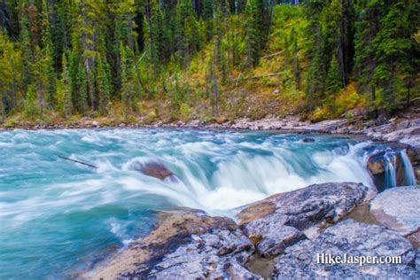 Hike Jasper - Sunwapta Falls