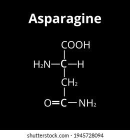 Asparagine Amino Acid Chemical Molecular Formula Stock Vector (Royalty Free) 1945728094 ...