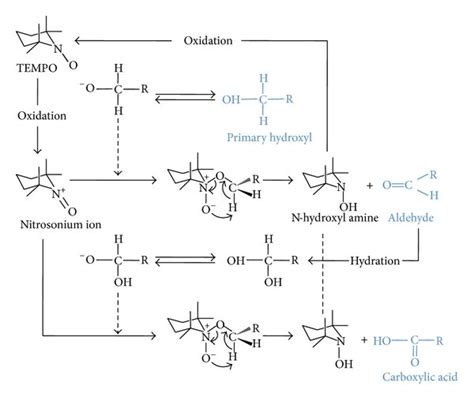 Tempo Mediated Oxidation Reactions Of The Efficient Conversion Of Download Scientific Diagram