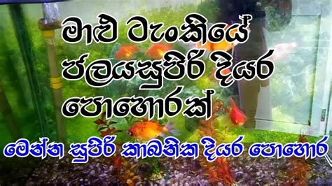 මළ ටකය අපරසද ජලය කබනක දයර පහරක Use dirty water from the