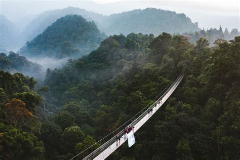 Calon Kabupaten Dan Kota Baru Ibu Kota Nusantara Ternyata Beberapa