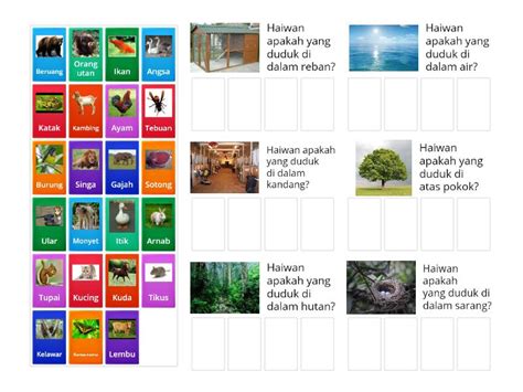 Aktiviti Kumpulan Tempat Tinggal Haiwan Group Sort