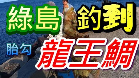 綠島釣到一尾魚 當地人說是龍王鯛 嚇死我的毛 慘了慘了不知道要被罰多少 會不會被抓去關綠島真的一堆好吃的高級魚 Youtube