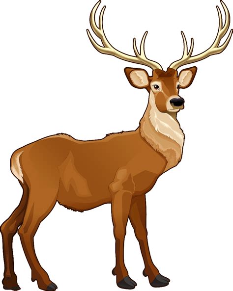 Images Eps Clipart Vecteur De Caribou 507 Illustrations