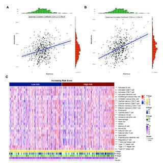 Risk Score And Tumor Microenvironment A Correlation Of Risk Score