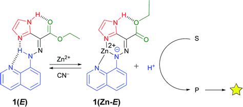 Regulating Signal Enhancement With Coordination Coupled Deprotonation Of A Hydrazone Switch