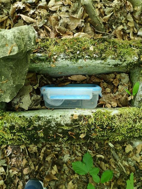 Geocache Geocaching Cache Kostenloses Foto Auf Pixabay Pixabay