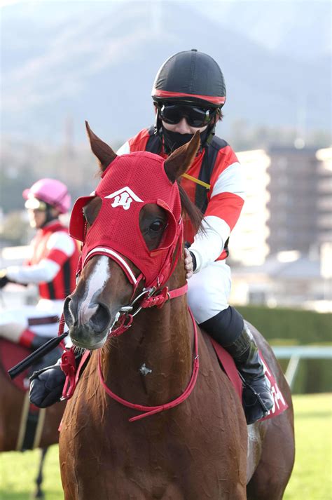 素質馬ウインマーベルが久々の重賞2勝目、好位から直線しっかりと脚伸ばし輝き取り戻す／阪神c 競馬写真ニュース 日刊スポーツ