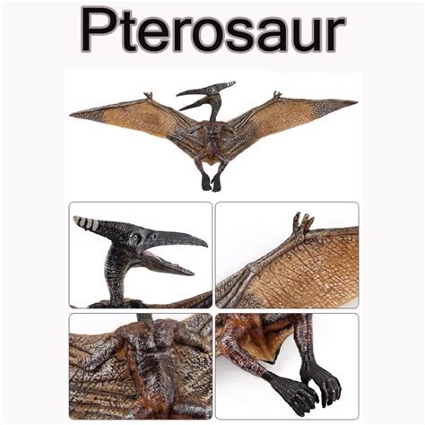 Jurassic Park Pterosaur Dinosaur Figure Toy High Simulation Flying Dinosaure Display Model Jouet