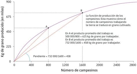 Leibniz La Función De Producción La Economía