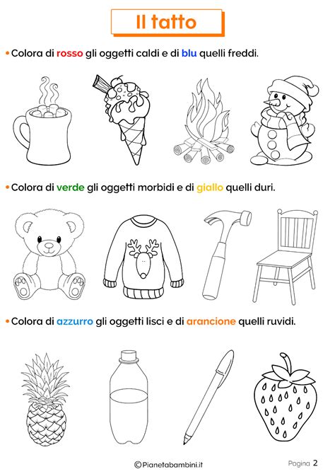 Il Tatto Schede Didattiche Per La Classe Prima Scienza Per Bambini