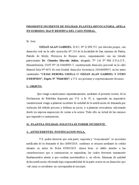 Promueve Incidente De Nulidad Pdf