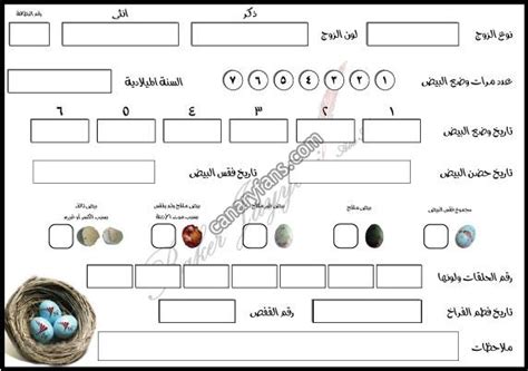 بطاقة انتاج لأزواج الكناري ضبط جودة المواضيع المتميزة للكناري • التجمع الدولي لعلم الطيور