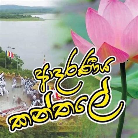 Agrabodhi College 8 ශ්‍රේණිය විද්‍යාවඉංග්‍රීසි මධ්‍යය Facebook