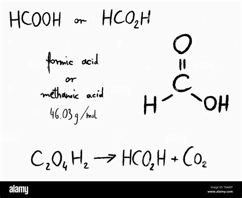 Methanoic acid hi-res stock photography and images - Alamy