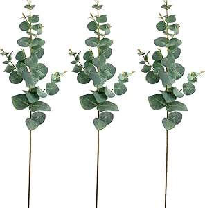 Amazon Supla 3 Pcs Faux Silver Dollar Eucalyptus Leaves Spray Baby