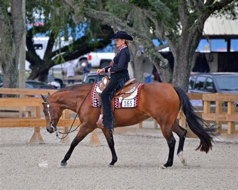 Florida Gold Coast Quarter Horse Circuit Honored as Top Three Quarter Horse Show by AQHA ...