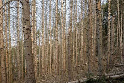 Im Tal Der Wupper Zwischen Wupperhof Und Gl Der Wandern Reisen Mehr