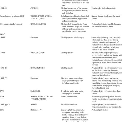 Primary Cilium Related Signaling Pathways In Bone Development A