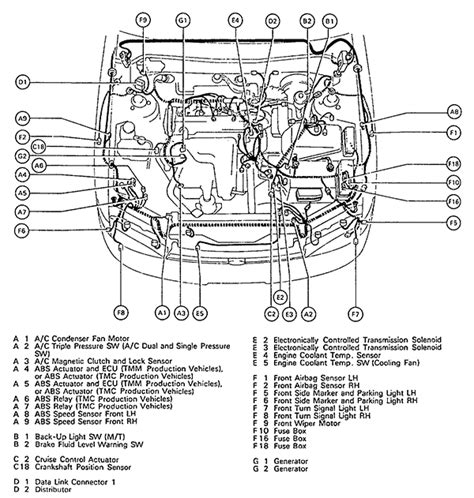 Diagrama De Motor De Tacoma Toyota Tacoma Engine D