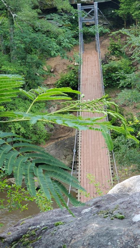 Suspension Bridge On Black Creek Trail Near Noccalula Falls Ga This