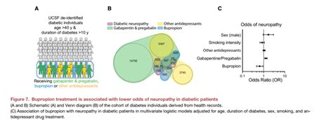 Cell Stem Cell—周围神经病研究重磅：基于人干细胞来源的施旺细胞模型，科学家发现了治疗糖尿病周围神经病变的关键靶点干细胞糖尿病