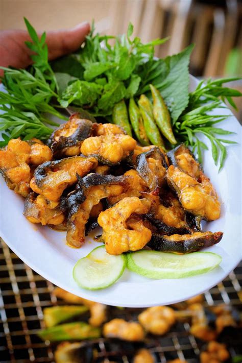 Khám phá Khu sinh thái dã ngoại Suối Giàu cực hot ở Châu Đức