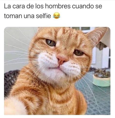 La Cara De Los Hombres Cuando Se Toman Una Selfie Memes