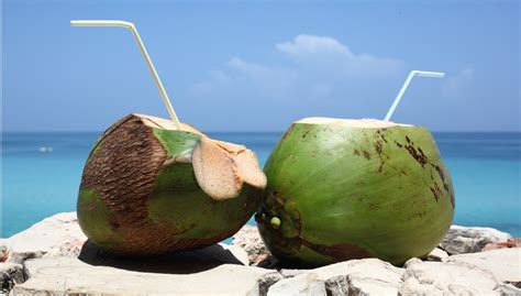 Health Benefits Of Coconut Water Health Tips From Kokilaben Hospital