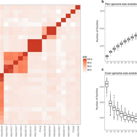 Intraspecific Genome Similarity Core And Pan Genomes Of Download