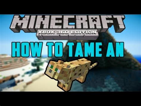 How To Tame An Ocelot Minecraft Xbox YouTube