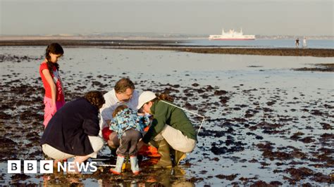 Kent Coastal Events Celebrate National Marine Week Bbc News