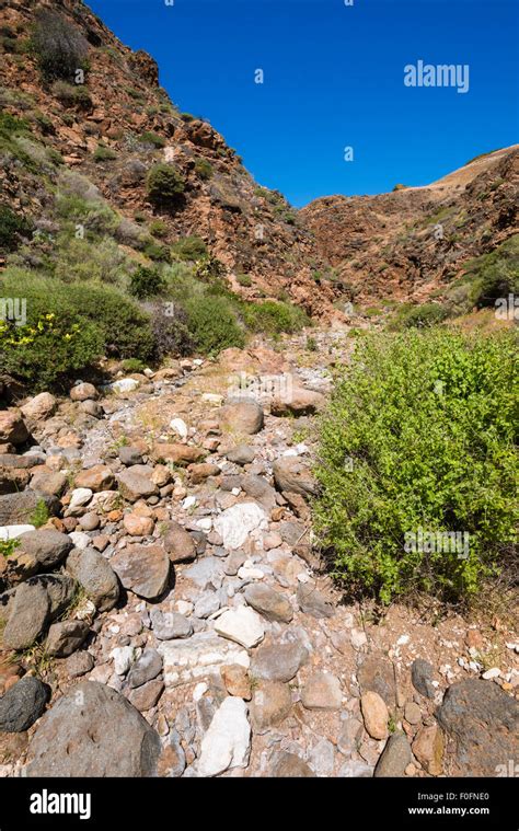 Canyon At Scorpion Cove Santa Cruz Island Channel Islands National