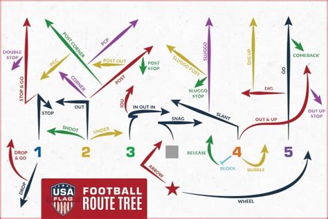 Guide to the Ultimate Flag Football Routes Tree - FlagSpin