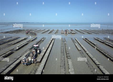 Le Vivier Sur Mer Brittany North Western France Aerial View Of