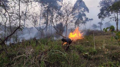 Breaking News Gunung Guntur Garut Terbakar Hektare Lahan Kering