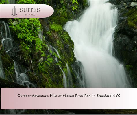 Outdoor Adventure Hike At Mianus River Park In Stamford NYC Suites