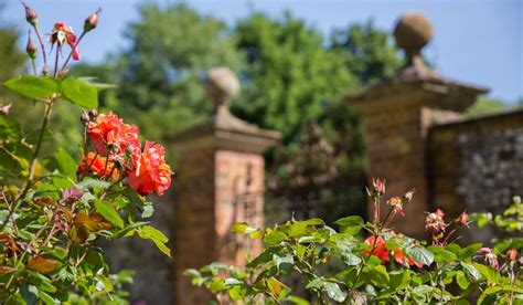 Chawton House Garden Tour Hampshires Top Attractions