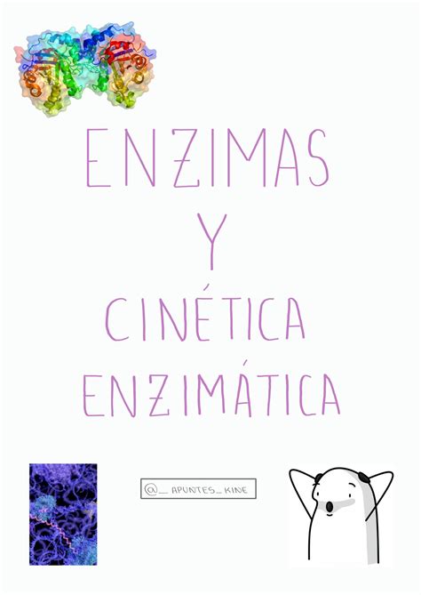 SOLUTION Enzimas Y Cin Tica Enzim Tica Apuntes Kine Studypool