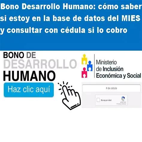 Consulta Del Bono De Desarrollo Humano Por C Dula Mies Ado