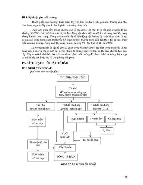 Giáo trình công nghệ sinh học động vật PDF