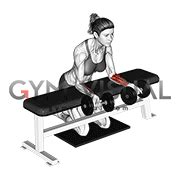 Dumbbell Over Bench Revers Wrist Curl With Mat Female