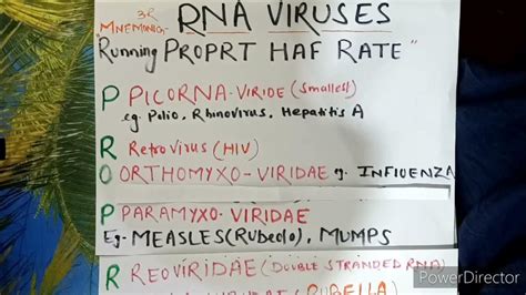 Mnemonic Of Rna Viruses In 1 Minute Youtube