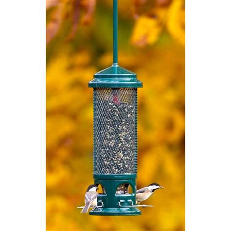 Squirrel Buster Bird Feeder - Legacy - UpstreamPgh