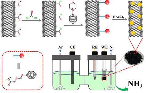 Acs Ami┃硼簇修饰碳纳米管原位负载的纳米金促进温和条件下电催化合成氨 X Mol资讯
