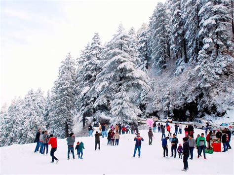 8 Best Places To Visit In Shimla In December Travel India Travel