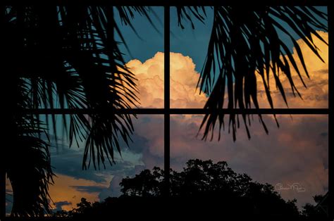 Sunset Wonder Outside My Window Photograph By Susan Molnar Fine Art America